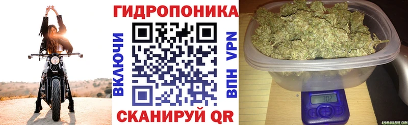 Виды наркоты Куйбышев Гашиш  MDMA  МЕФ 