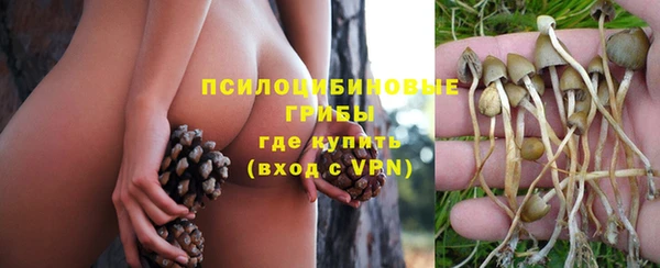 герыч Балахна