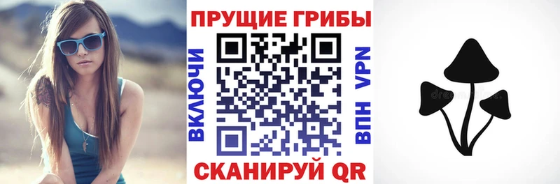 Псилоцибиновые грибы ЛСД  сколько стоит  Куйбышев 